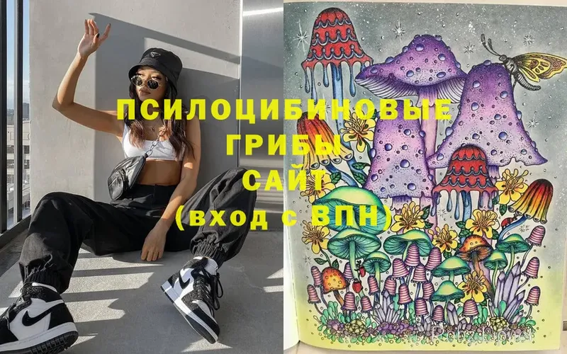 Псилоцибиновые грибы Magic Shrooms  Гусь-Хрустальный 